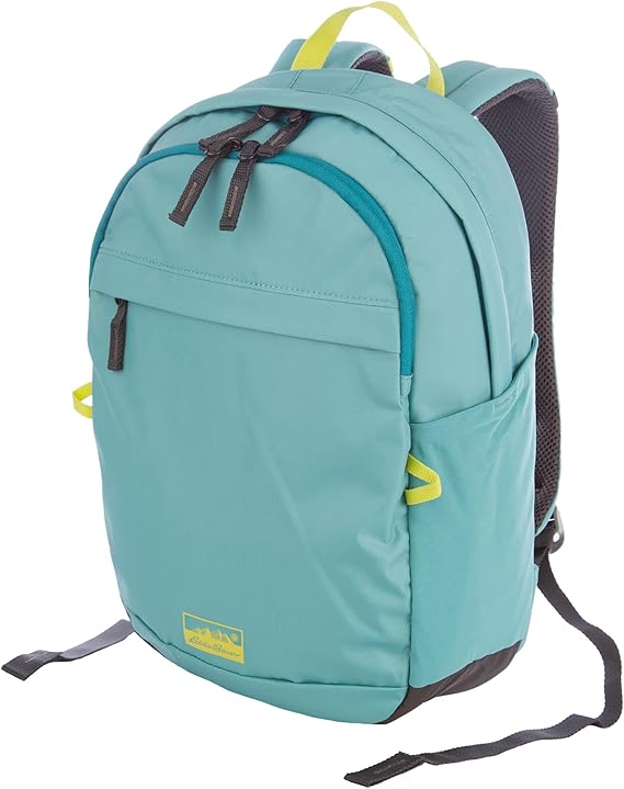 حقيبة ظهر Eddie Bauer Venture سعة 20 لترًا، حقيبة نهارية متوافقة مع الترطيب والكمبيوتر المحمول، Dusty Jade